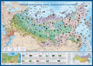 Природные зоны России, животные растения
